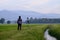 Beautiful green cornfield with sunset sky background.