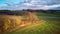 Beautiful green field. Winter cereal and blue, cloudy autumn sky