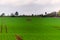 Beautiful green field with wooden watchtower on horizon