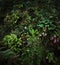 Beautiful Green Floral Hanging Gardens In Singapore