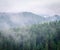 Beautiful green  forest mountains with fog