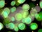 Beautiful green glowing blurred lights glittering night abstract