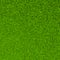 Beautiful green grass sward background