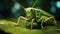 Beautiful green grasshopper on leaf in nature. Generative AI