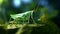 Beautiful green grasshopper on leaf in nature. Generative AI