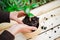 Beautiful green home flower in the garden being replanted by a woman. Hands of a garderner covering a small flower prepared to be