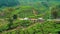 Beautiful green landscape Aerial View Of Munnar Tea Plantations, Kerala