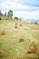 Beautiful green landscape with grass hays and village houses in the Apuseni Mountains, Romania