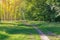 Beautiful  green landscape. Road in park on sunny summer day. Ukraine, Uman