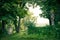 Beautiful green landscape with trees and stone gates