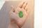 Beautiful green leaf on the human hand {Save Plants}