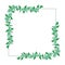 Beautiful green leaf pattern illustration in the corner. nature frame, border. hand drawn vector. blank space design template. doo