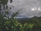 beautiful green leaves of vineyard and stormy sky above mountains