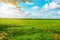 Beautiful green meadow. Autumn scenery. Cloudy blue sky. Background Banner.
