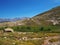 beautiful green mountain meadow with yellow flowers water pool