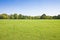 Beautiful green mowed lawn with trees and sky on background - image with copy space