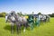 Beautiful green mowed lawn with trees and sky on background with two old carriages pulled by a couple of horses - concept image