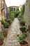 Beautiful green narrow street in San Marino