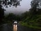 Beautiful green natural effect  after rainfall  at kashedi ghat