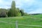 Beautiful green nature background, village meadow, fresh spring grass, wood fence, cattle corral, environmental conservation