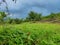 Beautiful green nature over the rocky land under the cloudy sky from the Kerala tourist hill station