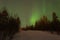 Beautiful green northern lights behind a snowed coniferous forest