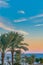 Beautiful green palm trees against the sunset sky with light clouds and blue sea. Tropical idilic evening scene