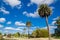 Beautiful green parklands with palm trees against clouds blue sky at the centennial park, Sydney, Australia.