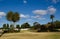 Beautiful green parklands with palm trees against clouds blue sky at the centennial park, Sydney, Australia.