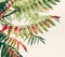 Beautiful green red leaves. Tropical leaves on light background