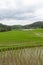 Beautiful green Rice Terraces in Doi inthanon, Maeglangluang Karen village, chiangmai Thailand