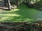 beautiful green river in a gorge between trees