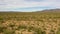 Beautiful green Saguaros standing tall in the Sonoran Desert in Arizona - aerial descend