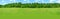 Beautiful green summer landscape with green meadow grass, wildflowers, shrubs, trees, natural nature concept, ecology,