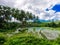 Beautiful green terrace paddy fields on Philippines