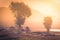 Beautiful green trees with pavilion among fog at sunrise in morn