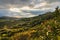 Beautiful green valley with olive trees, mediterranean plants in Kusadasi in Turkey - during peaceful golden hour, mountains and