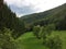 Beautiful green view of Carpathian Mountains