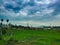 Beautiful Green Village Market Place on Evening with Dark Monsoon Passing Clouds Background