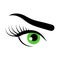 Beautiful green woman eye. Vector illustration