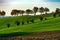 Beautiful green and yellow hills on sunset, french Tuscany