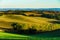 Beautiful green and yellow hills on sunset, french Tuscany