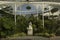 Beautiful greenhouse in Glasgow Botanic Gardens