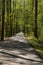 Beautiful greenway with paved path running straight through a wooded area, sunlight and shadows, North Augusta South Carolina