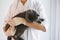 A beautiful grey cat in the hands of a veterinarian.