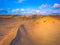 Beautiful Grey Dunes, Dead Dunes at the Curonian Spit in Nida, Neringa, Lithuania