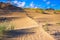 Beautiful Grey Dunes, Dead Dunes at the Curonian Spit in Nida, Neringa, Lithuania