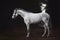 Beautiful grey hanoverian mare horse in bridle standing on road in forest