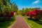 Beautiful groomed walkways in the park. Trees with red leaves grow in the park