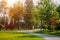 Beautiful groomed walkways in the park. Trees with red leaves grow in the park